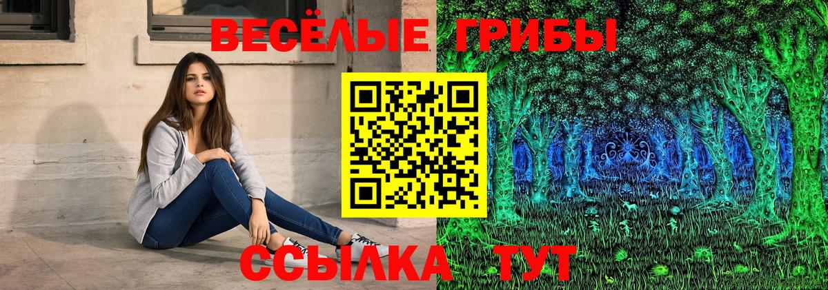 Благовещенск  Псилоцибиновые грибы MAGIC MUSHROOMS  Псилоцибиновые грибы прущие грибы  что такое   Вход с VPN 